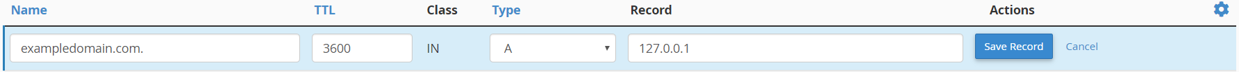 Add DNS A record within cpanel Zone Editor module