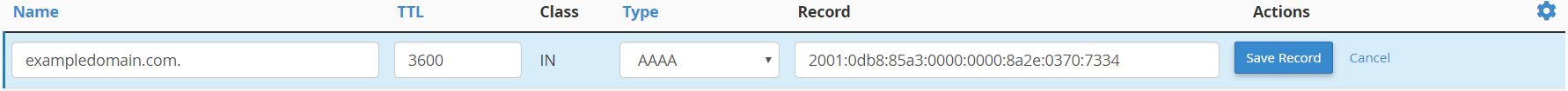 Add DNS AAA record within cPanel Zone Editor module