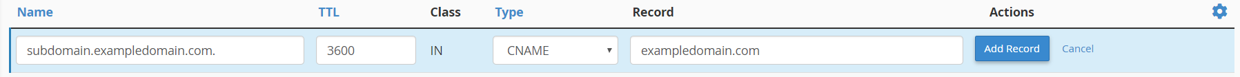 Add DNS CNAME record within cPanel Zone Editor module